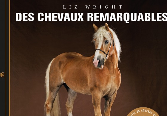 Des chevaux remarquables