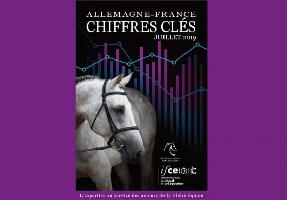 Allemagne – France, les chiffres du cheval