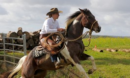 Vent d’Est en poupe aux finales 2017 de Versatile Ranch Horse by RHA au Double V Farm (18) – Les résultats et les photos…