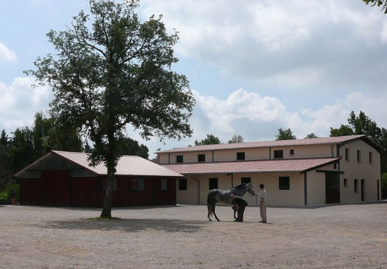La Clinique du Cheval de Grenade sur Garonne (31) devient CHVE…