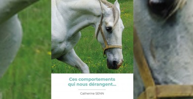 Cheval : son mental, on en parle !