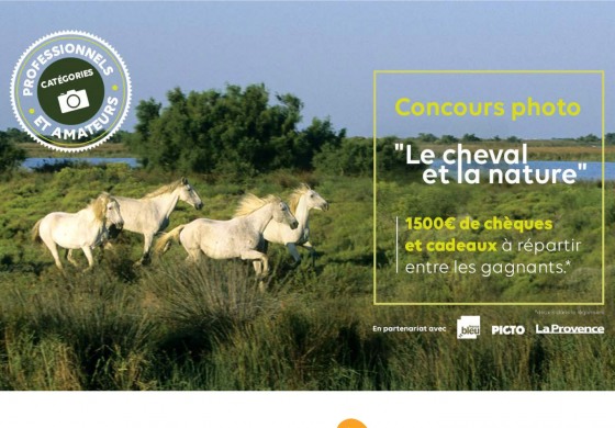 Concours photo interactif : partagez vos clichés et/ou votez sans attendre !