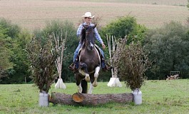 Versatility Ranch Horse - Résultats et photos des finales 2016 de la RHA