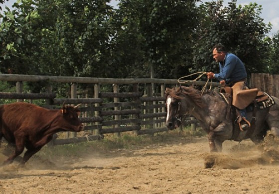 Versatile Ranch Horse - Contigné (49) – RHA deuxième manche – 25 et 26 juin 2016