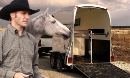 Franck Petetin fait monter votre cheval dans le van…