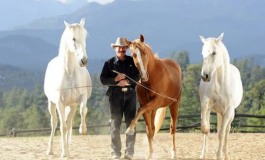 David Lichman, instructeur Parelli 5*, à Cahors les 2 et 3 septembre 2017