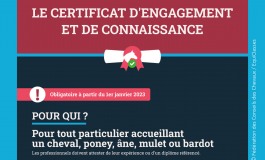 Détenteur d’équidé(s) : cette obligation vous concerne !