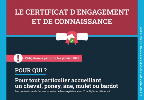 Détenteur d’équidé(s) : cette obligation vous concerne !