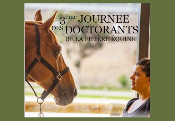 Le cheval inspire les chercheurs !