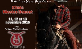 Travail du bétail avec Nicolas Doucet en Pays de la Loire