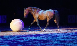 EQI Cheval libre revient au Lac de Monteux (84)