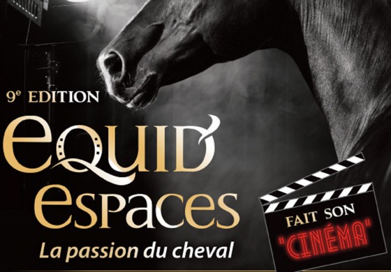 Equid’Espaces, RV en Haute Savoie du 4 au 6 octobre 2013