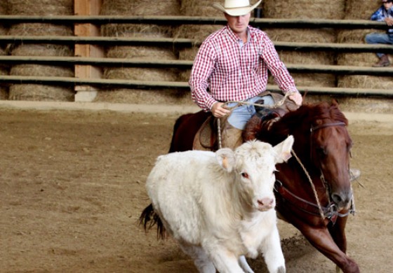 Tous à Mooslargue pour voir du TOP Reined Cow Horse