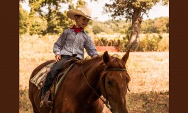 Dans les départements confinés, on garde le contact avec son cheval…