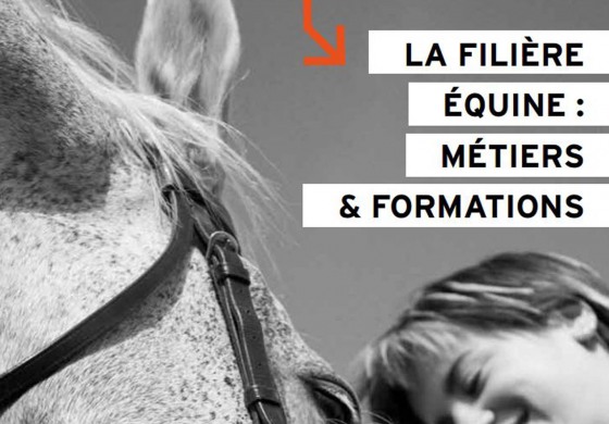 Equi-ressources, depuis 10 ans au service de vos métiers de la filière cheval