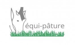 Pâturage, les bonnes pratiques à observer grandeur nature