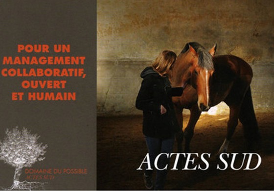 Vivre l’entreprise autrement grâce au cheval