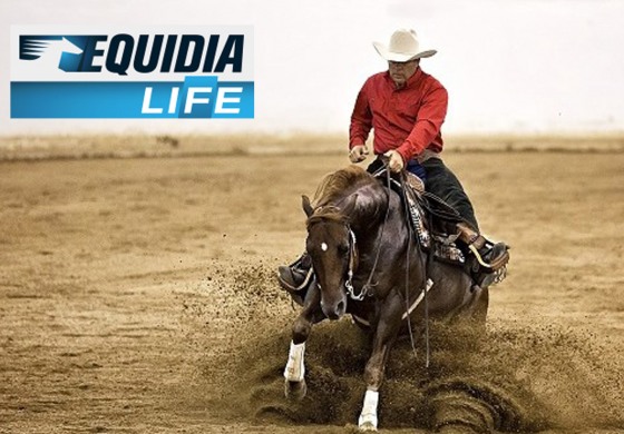 Profitez encore d’Equidia Life