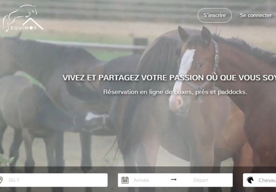 Héberger le cheval en mobilité : la solution apportée par Equimov se distingue