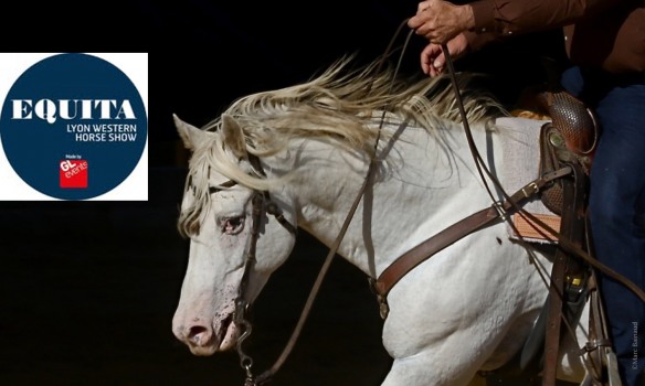 L'équitation western à Equita Lyon, suivez les compétitions en live !