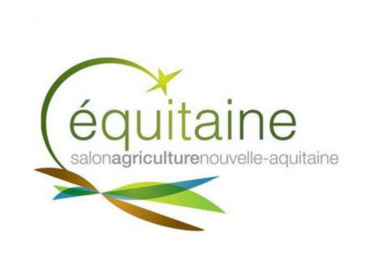 Les chevaux font salon à Bordeaux