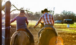 Enseignants d’équitation indépendants qui êtes-vous ?