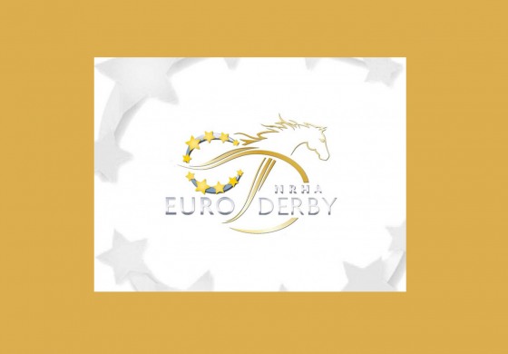 Des Français brillent au derby européen de reining