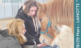 Le cheval partenaire de santé, de la prévention à la reconstruction