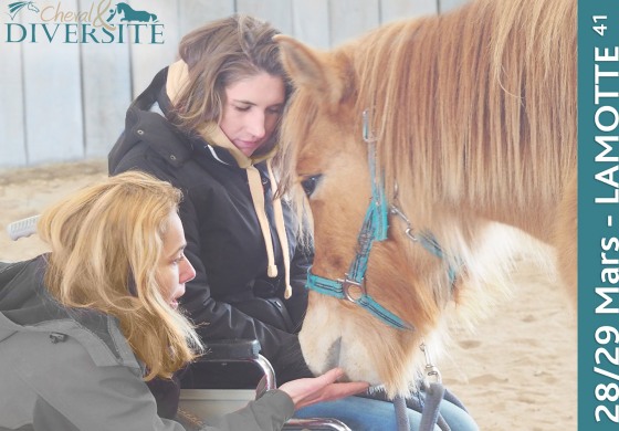 Le cheval partenaire de santé, de la prévention à la reconstruction
