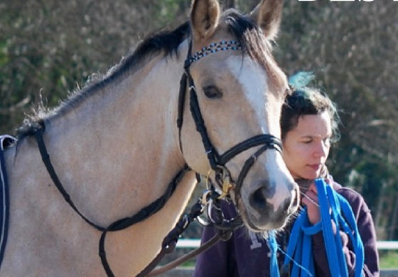 Femmes, que serait la filière équine sans vous !