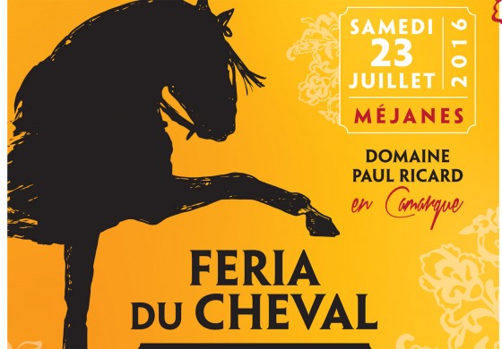 Quand la Camargue fête le cheval…