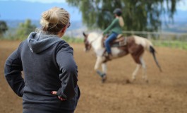 Professionnels de la filière cheval : comment fidéliser vos clients ?