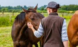 Garder le contrôle sur la fin de vie de votre cheval