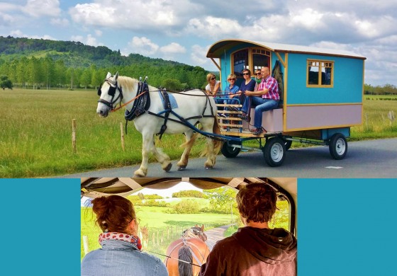 Quand le cheval vous conduit en vacances…