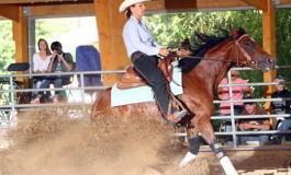 French Breeders Reining Program