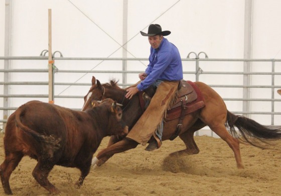 Frontenaud (71) – NCHA of France (deuxième manche) – 3 & 4 mai 2014