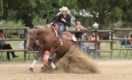 Reining à Graveson (30) - Non Pro Day