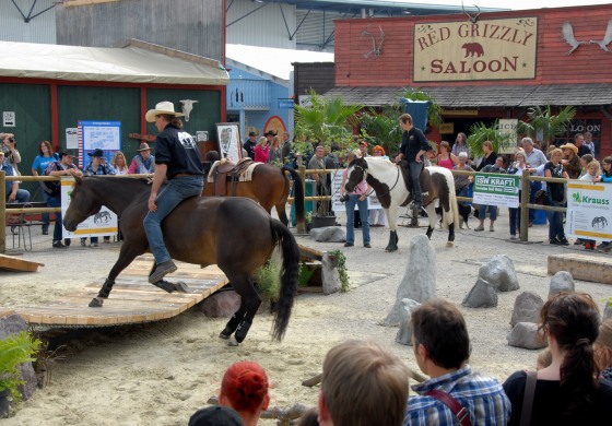 Americana 2015, 400 cavaliers et 500 chevaux en compétition