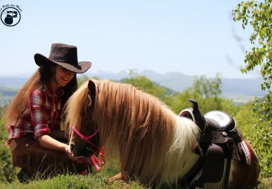 Les chevaux petits formats s’équipent western