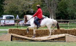 Extreme Cowboy Race avec Bill Cameron au Ranch de l’Oison (27)