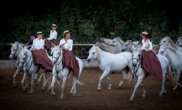 Le cheval au fil de l’histoire à Hennebont (Morbihan) le dimanche 17 septembre 2017