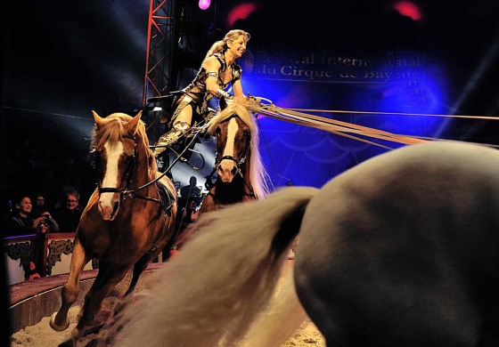 Quand le haras d’Hennebont passe en mode estival…