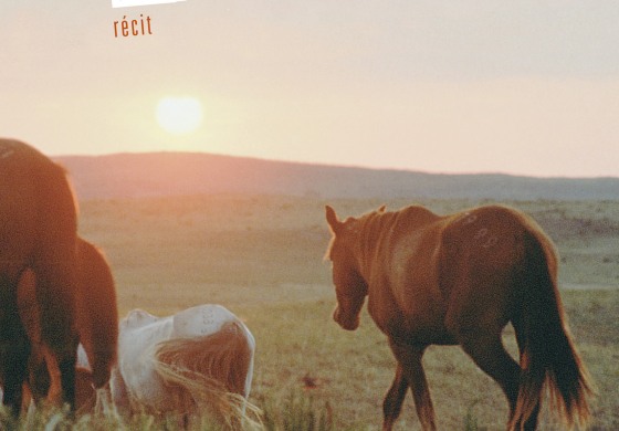 L’histoire du cowboy qui sauva les mustangs
