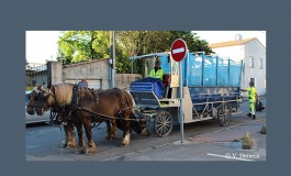 Humains et chevaux, une très longue histoire mais jusqu'à quand ?