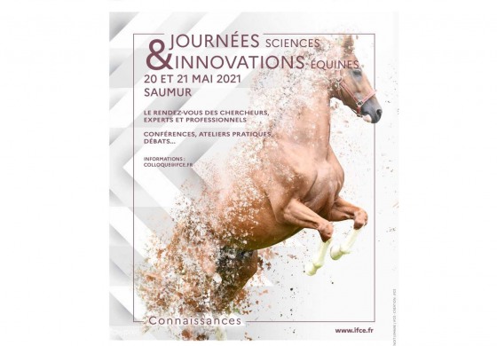 Quoi de neuf côté cheval ?