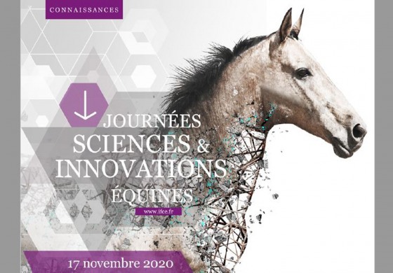Infos cheval : mise à jour le 17 novembre 2020 !