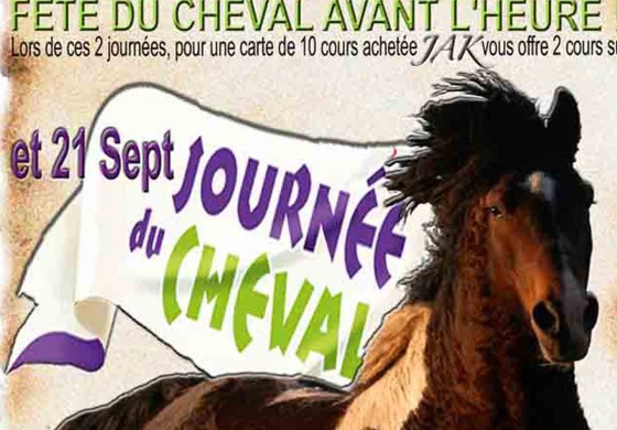 En septembre, le curly est en fête dans le Morbihan !