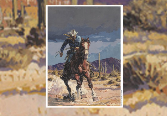 Blueberry, la ruée vers l’or !