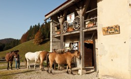 Le Jura, y avez-vous pensé ?