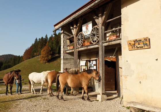 Le Jura, y avez-vous pensé ?